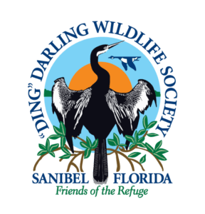 J. N. Ding Darling National Wildlife Refuge Friends Group @ West Wind Hotel | Sanibel | Florida | United States