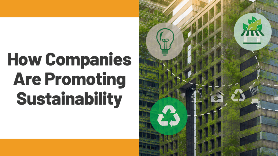 How Companies are Promoting Sustainability
